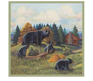 Black Bear Shower Curtain