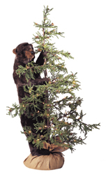 Grizzly Tree Bear